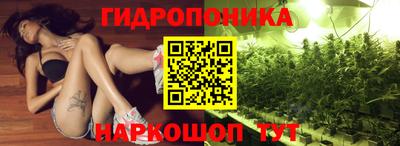 apvp Заволжье