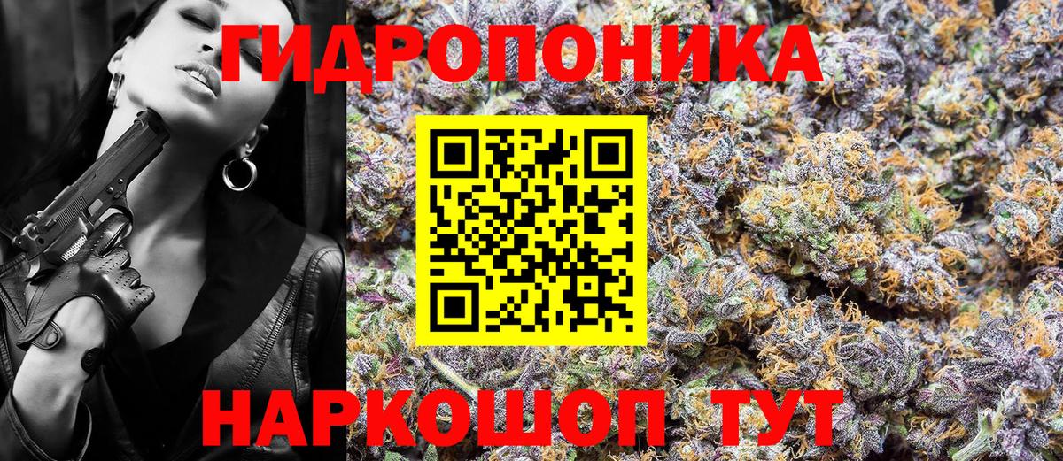 Канабис сатива  Канабис тримм  Черняховск  Шишки марихуана THC 21%  Бошки Шишки MAZAR  Вход с VPN 